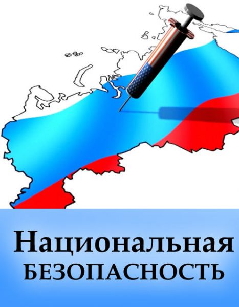 Национальная безопасность / Репко С.И. – М.: Академия геополитики, 2012,